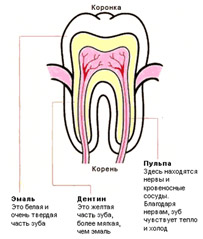 Лечение пульпита в ММЦ ОН КЛИНИК