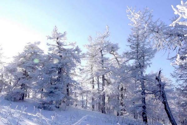 Метеозависимости не существует