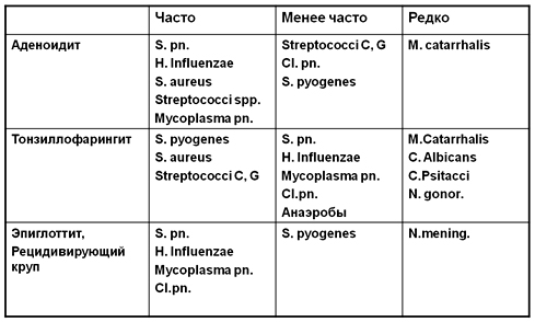 pic3.jpg