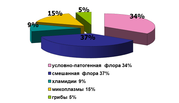 pic1.jpg